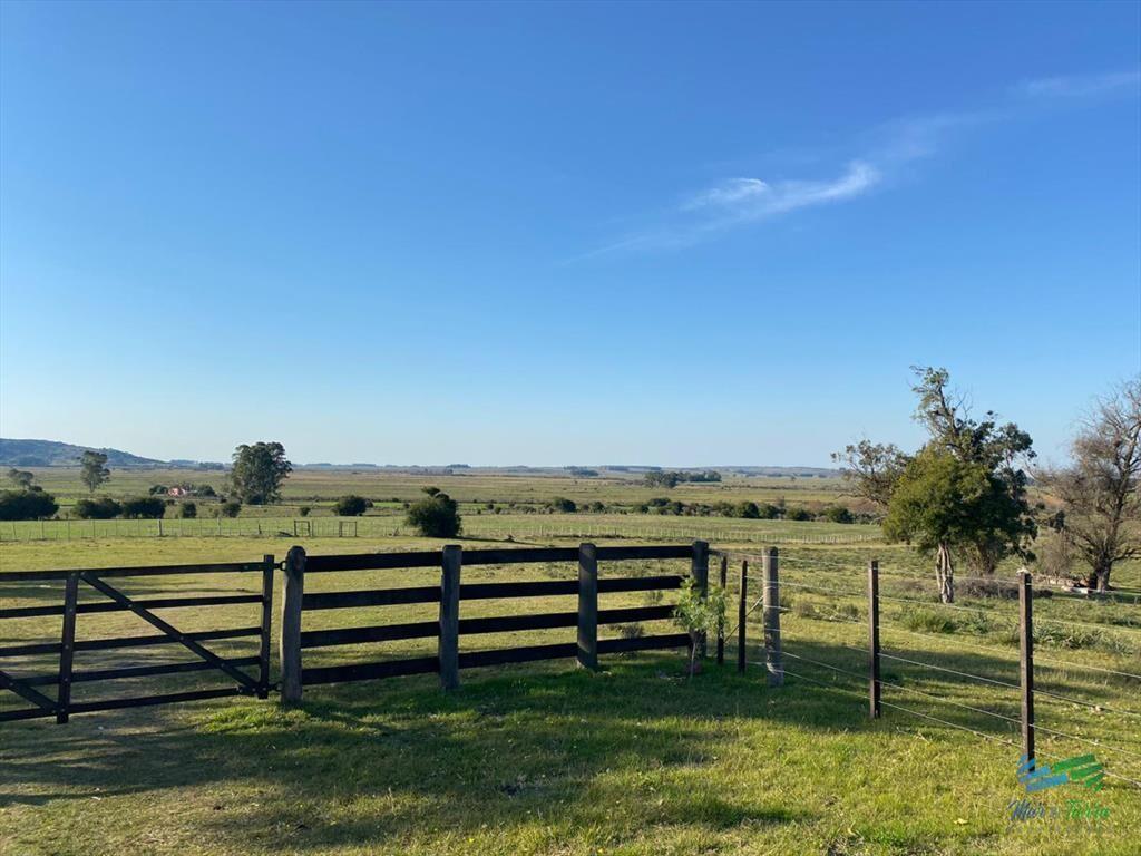 Buen campo mixto a 1 hora de Punta, buen acceso e