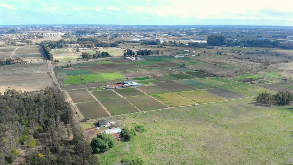 Venta campo de 7 Ha. en Camino Los Horneros