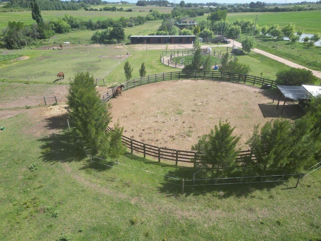 Haras I Canelones I Ha: 33. IC:233.
