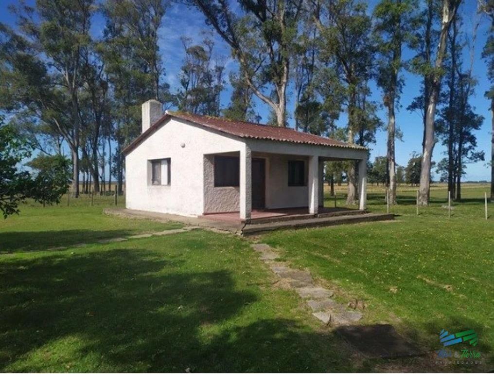 Campo Arrocero-Ganadero 1.636 Has sobre Ruta