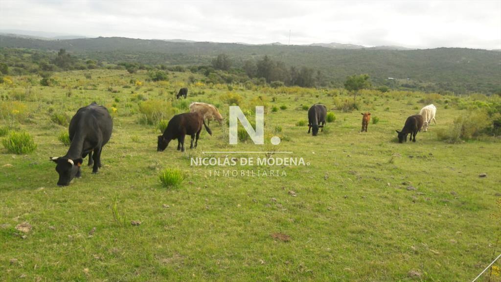 Campo en Aigua , Maldonado, 62 Hectáreas