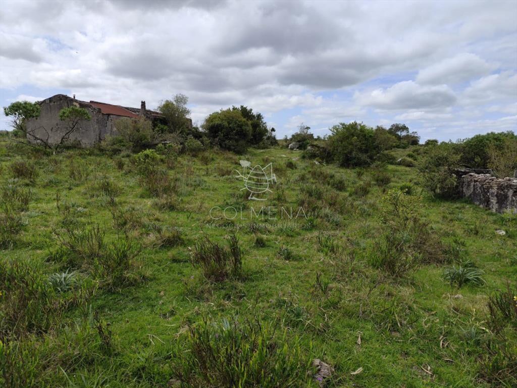 Campo 138 has en las Cañas
