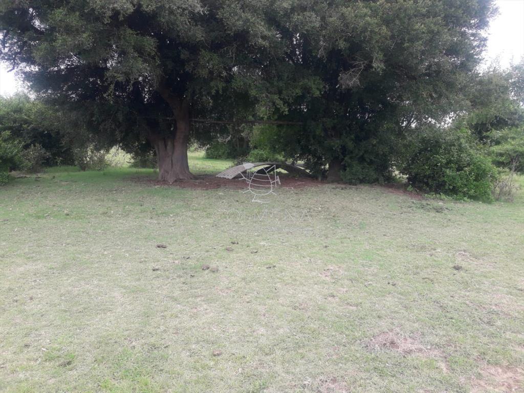 Campo de 5 has con 5891 m2