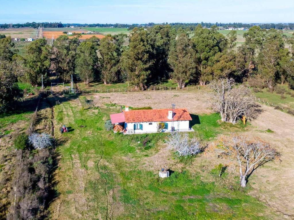 Venta de campo 10Ha. con casa en Estación Pedrera