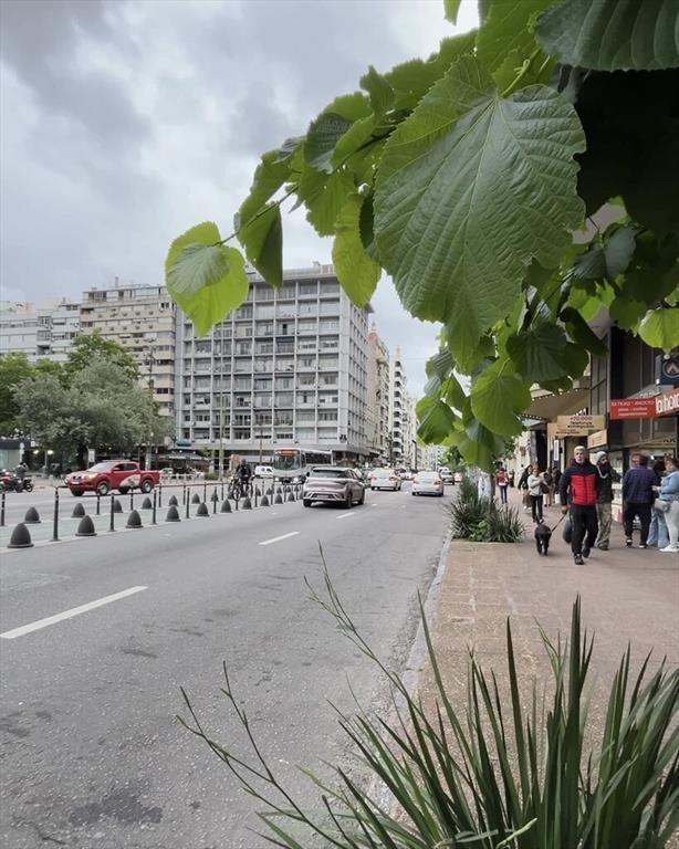 VENTA LOCAL CON RENTA 18 Y EJIDO