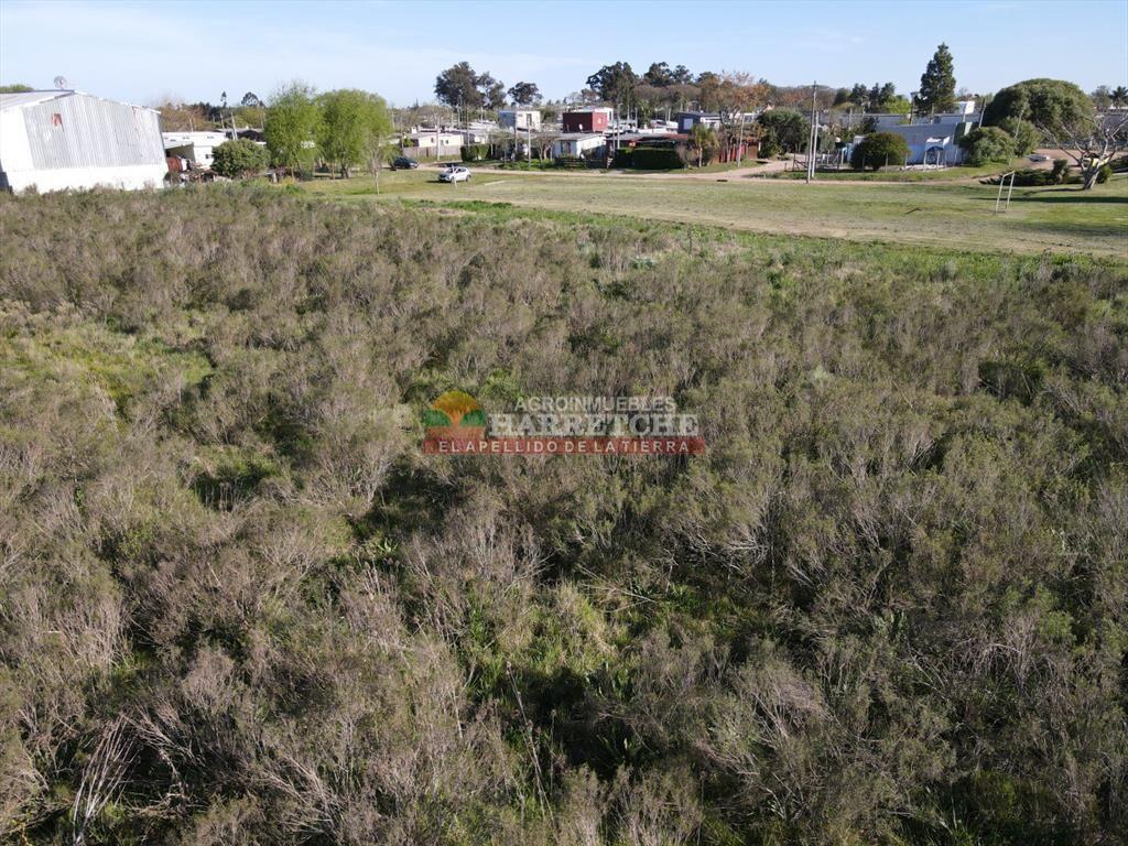 Terreno urbano en Progreso, 10.194 m2 a 600 m de