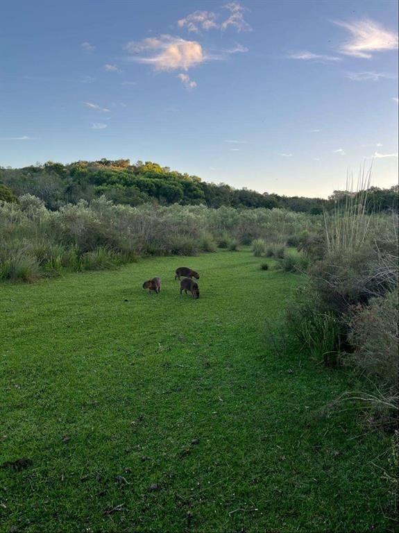 Campo 221 há Caza Mayor y Turismo sobre Ruta 98 — Sierra, A
