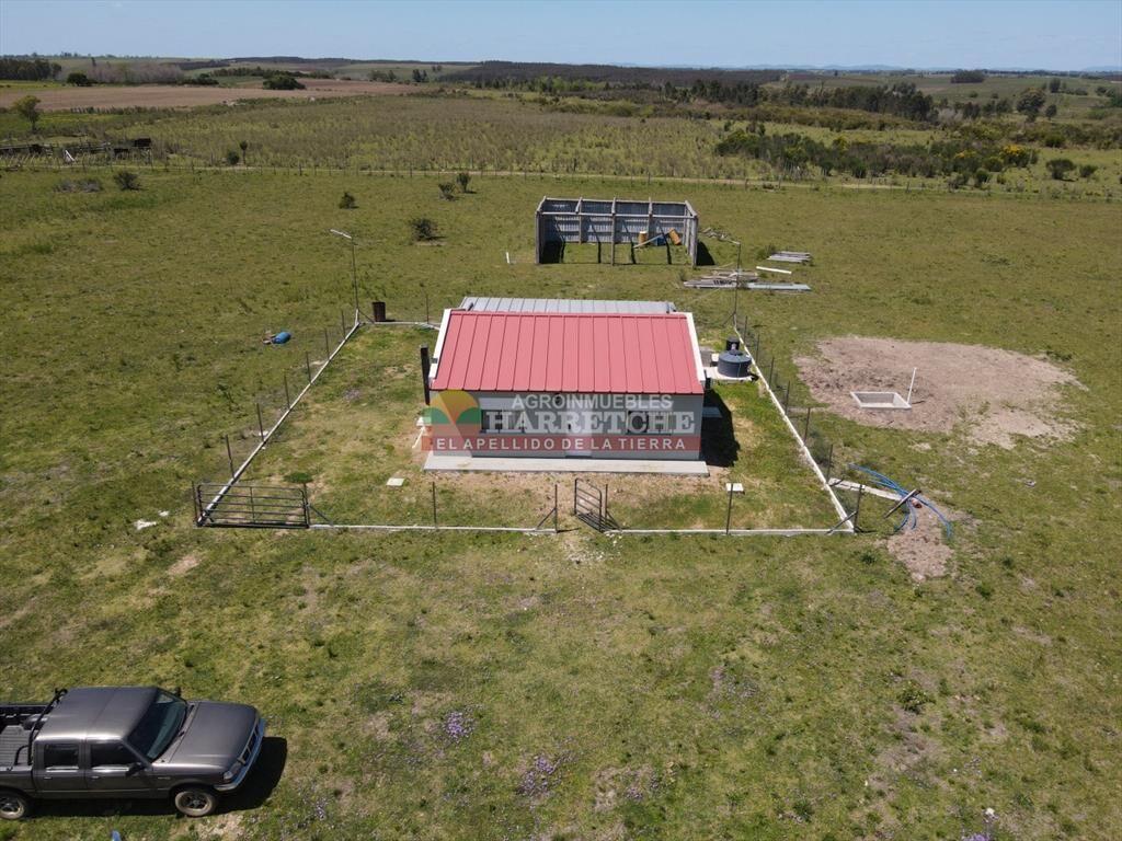 Campo en venta 19 has en Tapia, 2 casas, a 15 min