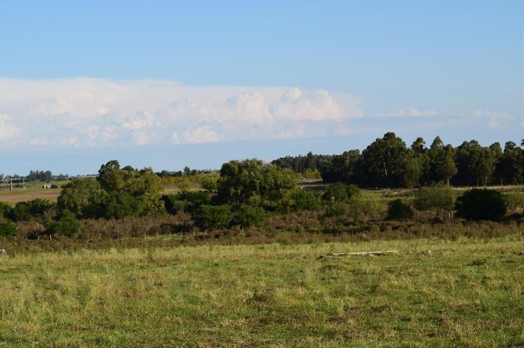 Venta Chacra con casa en Santa Rosa