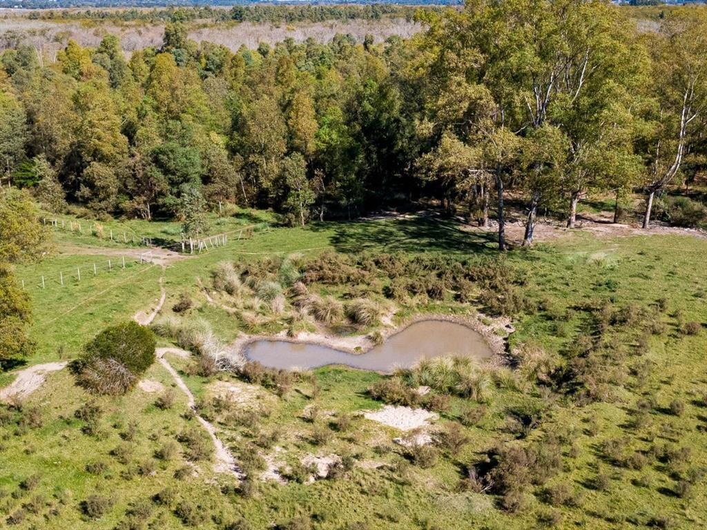 Venta de campo con 6 Ha. en Rincón de Pando