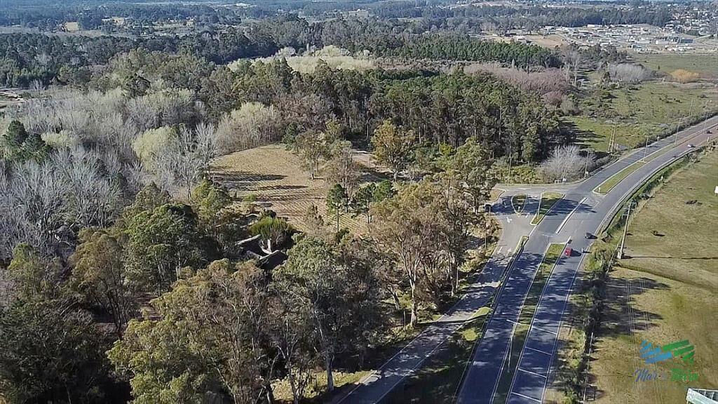 Venta de chacra en Camino Lussich Punta Ballena