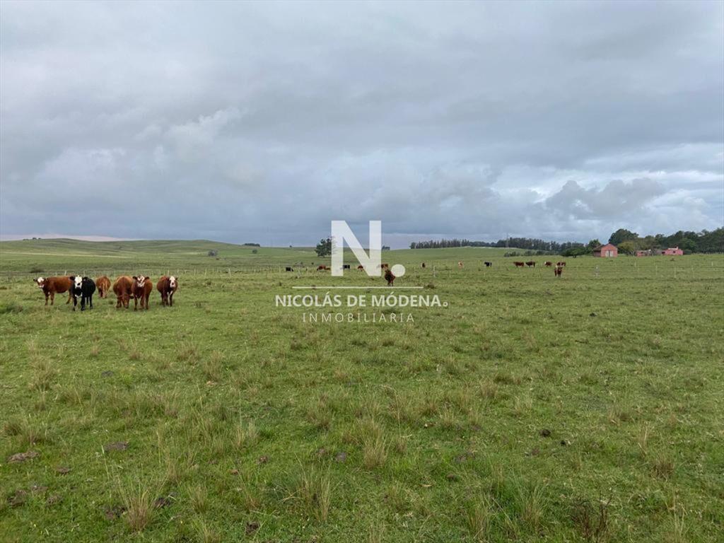 Vende Campo en Ruta 104. Punta del Este