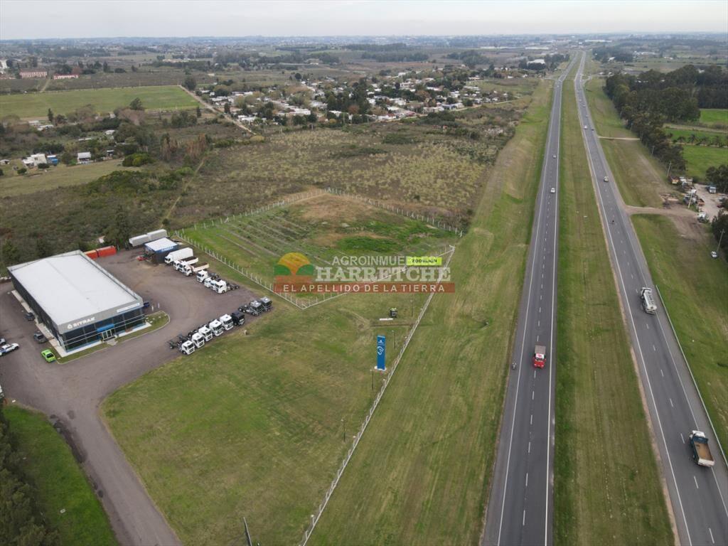 Terreno en venta 37.988 m2 suburbanos sobre ruta 5, logisti