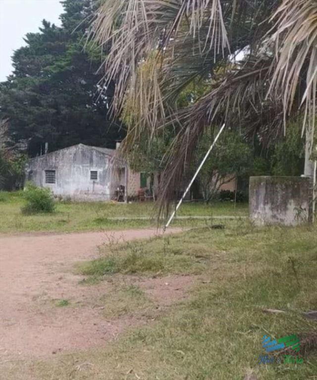 445 Has Campo Ganadero