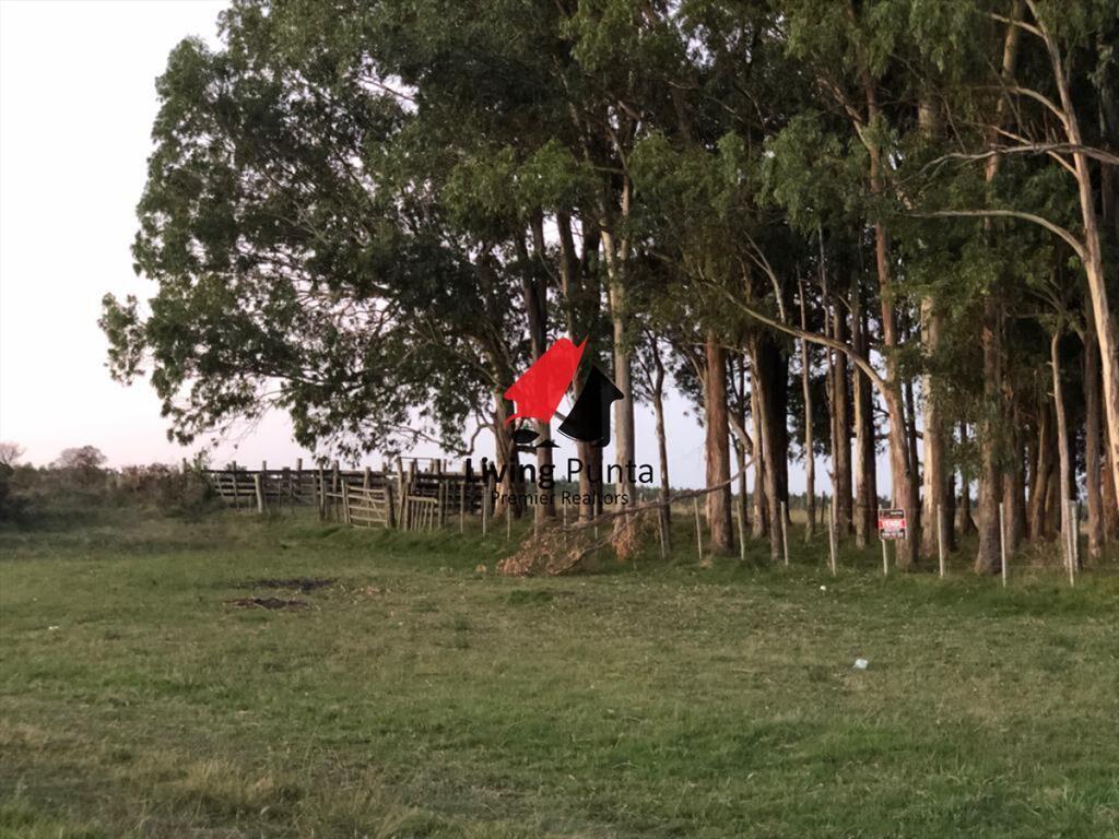 Chacra en excelente precio de venta