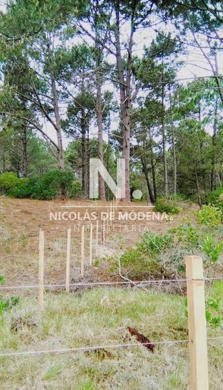 Venta Terreno en Punta Ballena, Gran Oportunidad
