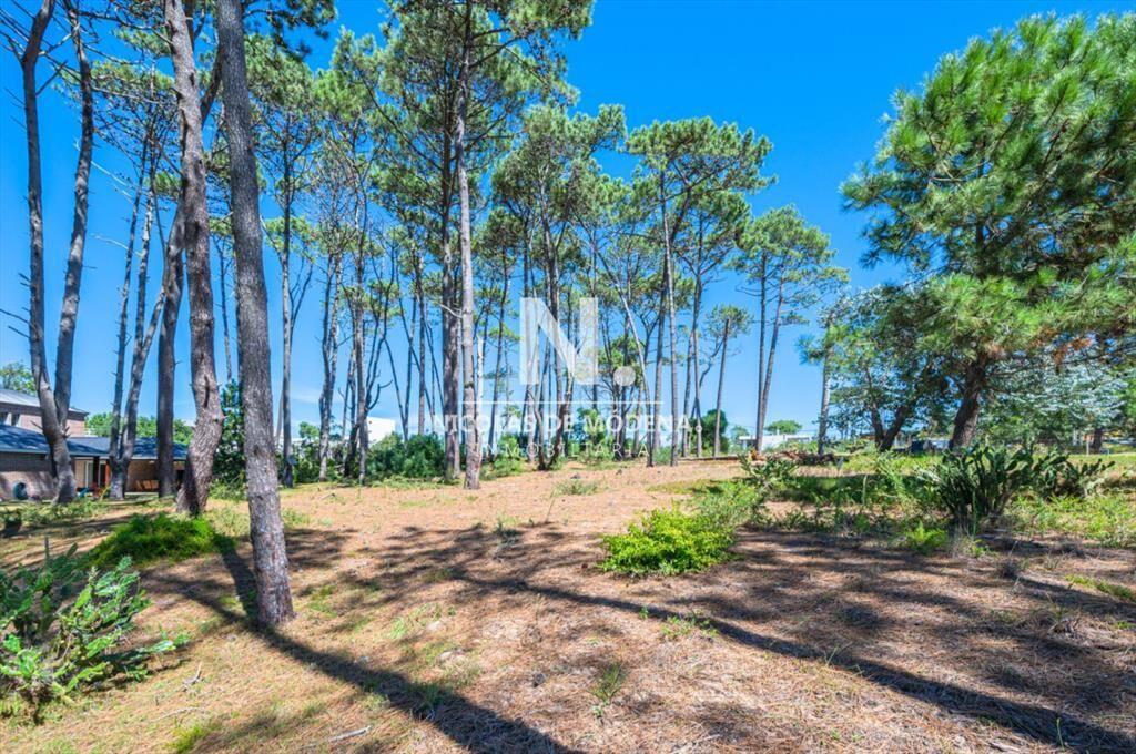 Vende terreno en Laguna Blanca.