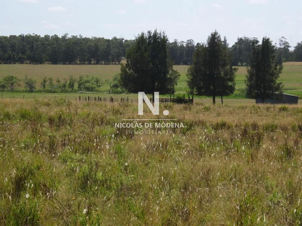 Lote en venta en Cerro Eguzquiza, Ideal para e