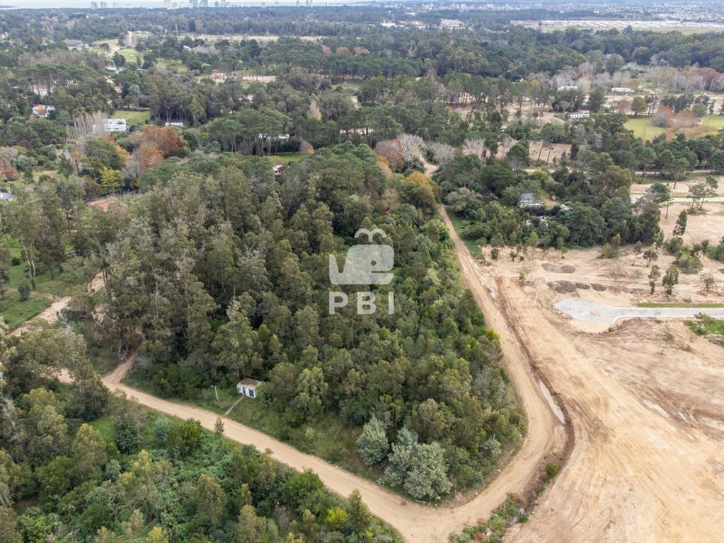Lotes de 2.500 m   en El Golf, Punta del Este