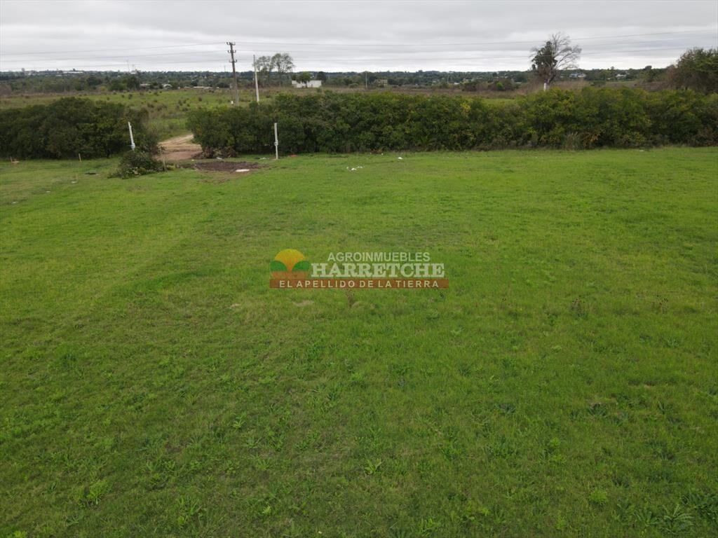 Terreno en Progreso, 360 m2 en Jardín de los (8)