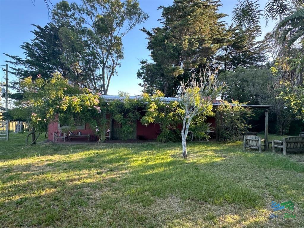 Precioso Campito de 80 Has a 15 minutos del mar y