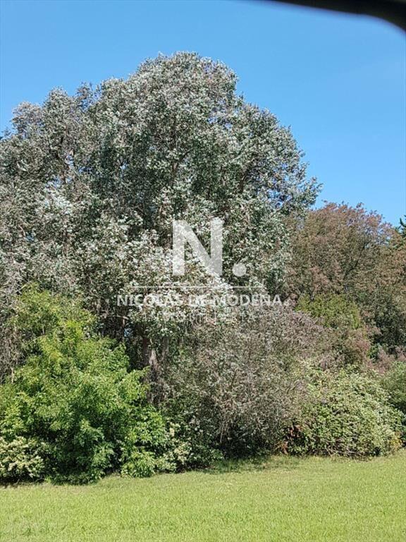 En venta chacra de 6hectareas en Jose Ignacio.