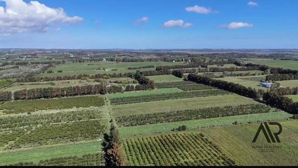 Campo en venta de 78m2 ubicado en Melilla