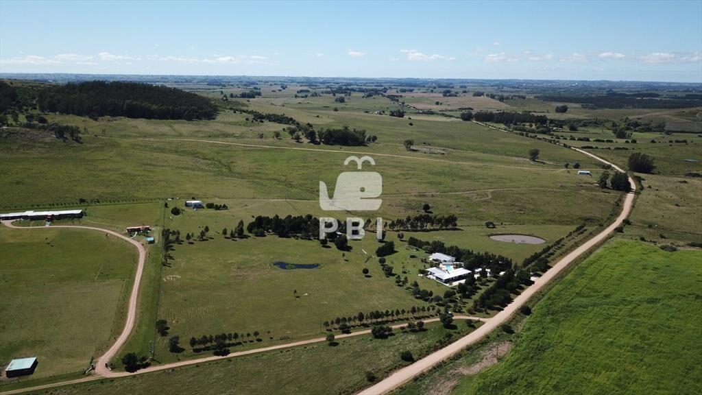 Venta de chacra de 5 hectáreas, Maldonado - Ref : PBI13972