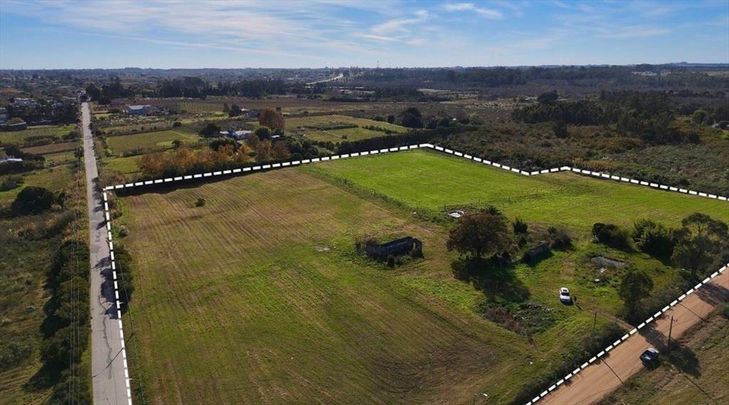 Venta Chacra Toledo 7 hectáreas