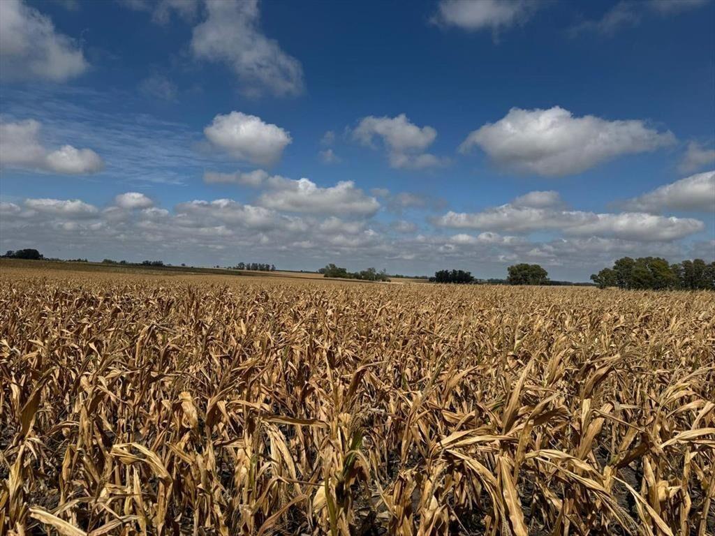 Venta de Campo Agrícola en Soriano
