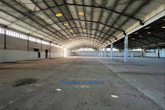 Alquiler depósito de 2000m2 Ruta 1 km 26 a 20km del puerto
