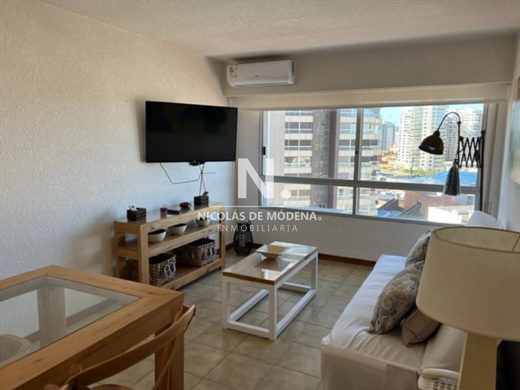 Hermoso apartamento 1 dormitorio con VISTA!