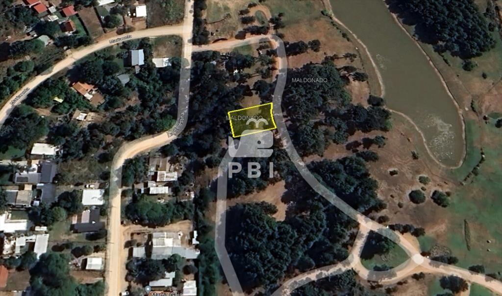 Venta de Terreno en Piedras del Chileno, Punta -