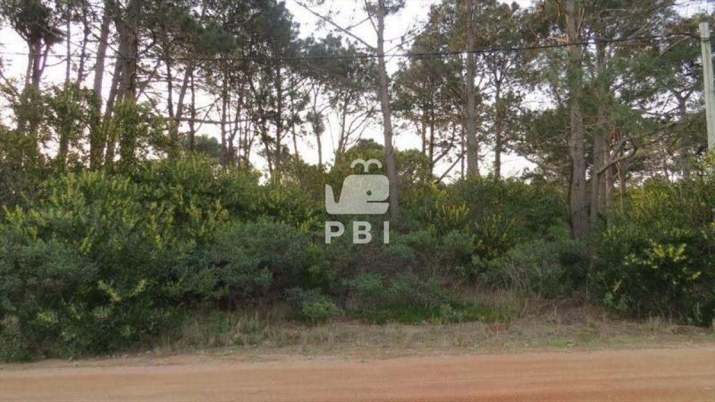 Terreno en venta Chihuahua - Ref : PBI904