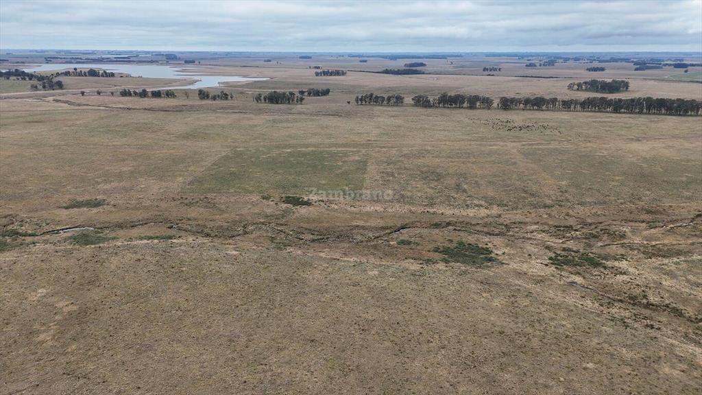 Estancia Ganadera Agrícola 1700 ha en Treinta y Tres