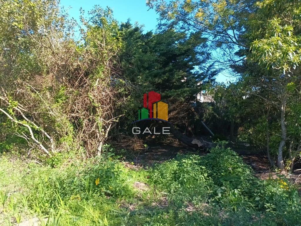 Terreno muy bien ubicado en Piedras del Chileno