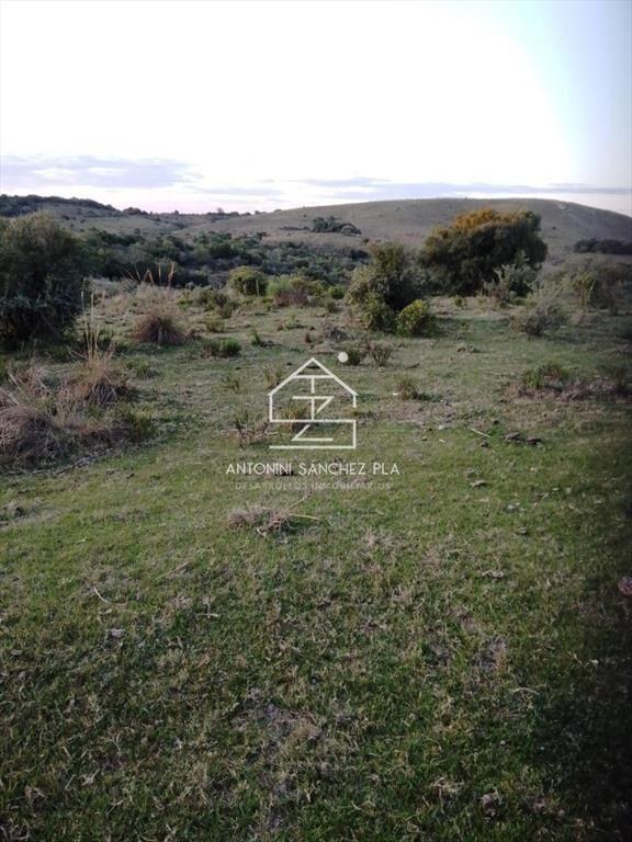 Campo Cerro Aspero Rocha