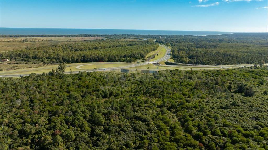 Campo en Venta en Sierra de las Ánimas, Ladera sur