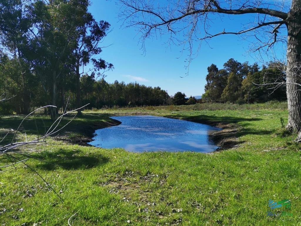 En venta chacra de 6 hectareas con casa a 1 hora