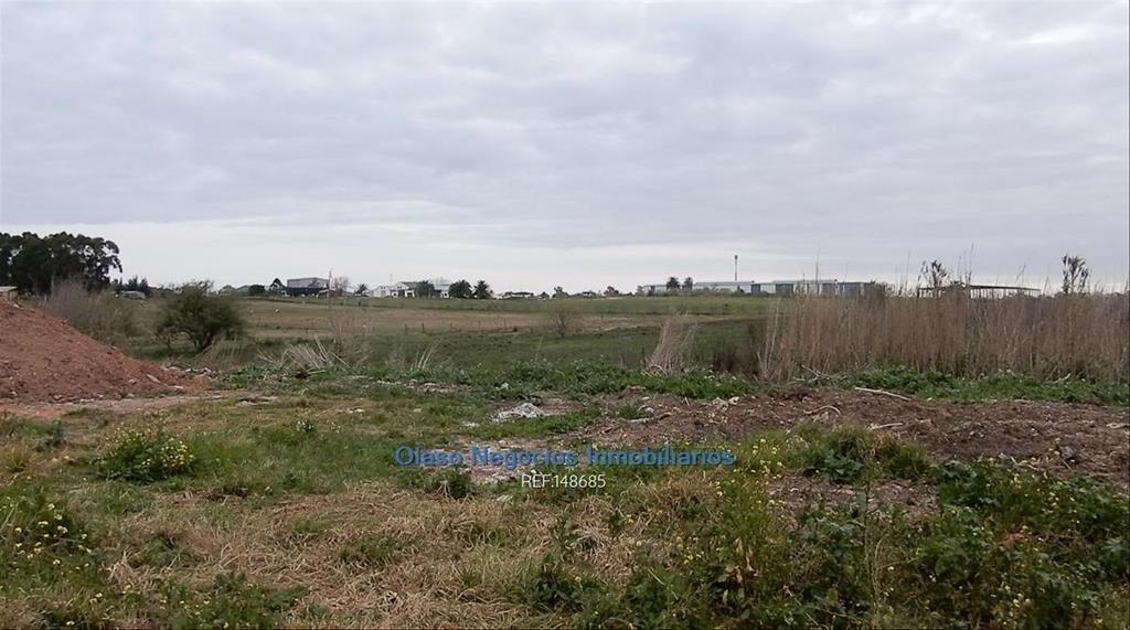 4 hás a la venta en CERRO NORTE