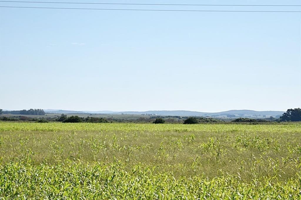 36 ha. sobre ruta 9