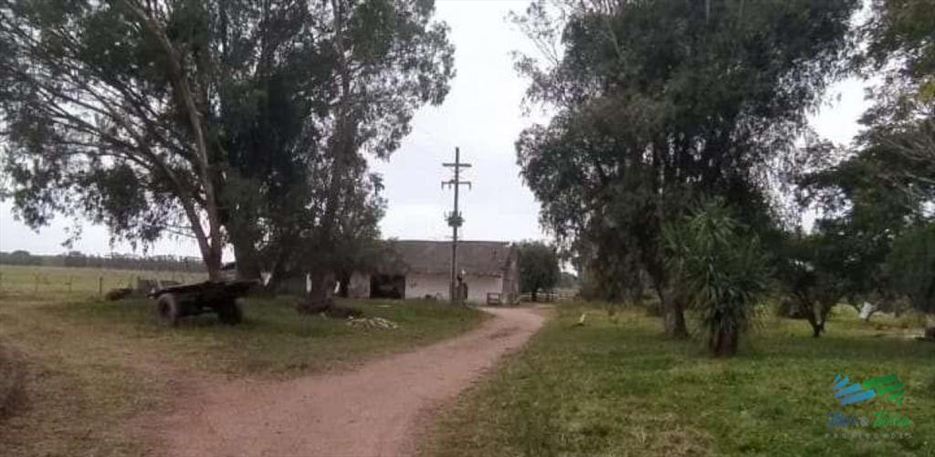445 Has Campo Ganadero