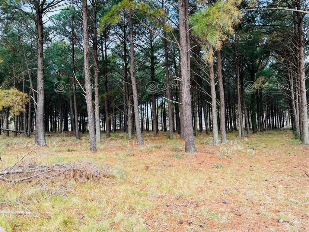 Terreno en Oportunidad Chacras del Pinar