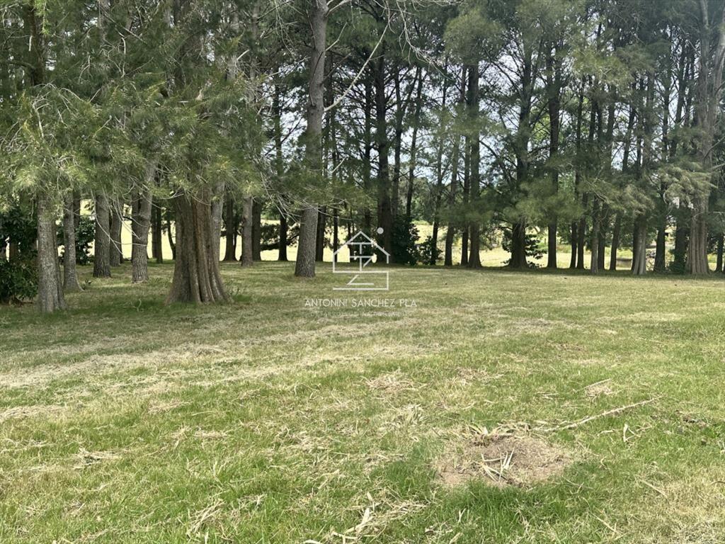 Venta chacra en punta Ballena