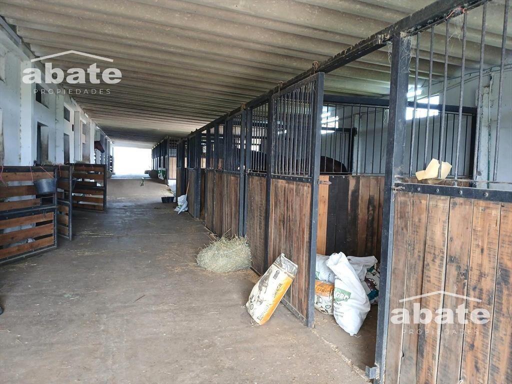 Venta de Terreno campo con mejoras en Est. Atlántida a metr