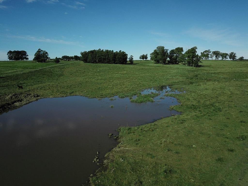 Chacra de 10 ha en venta en Garzón a 15 minutos de José Ign