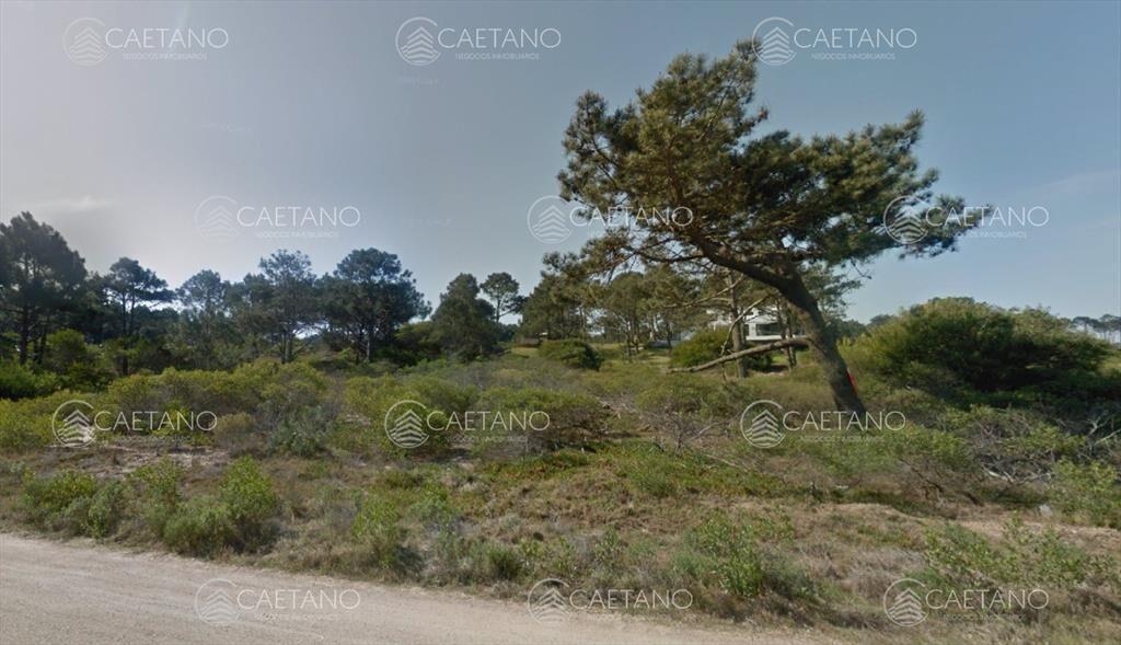 Venta terreno en Chihuahua