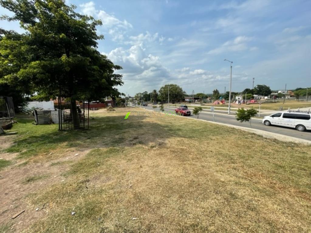 TERRENO DE 981 METROS SOBRE AVENIDA CIBILS PROX A CARLOS M