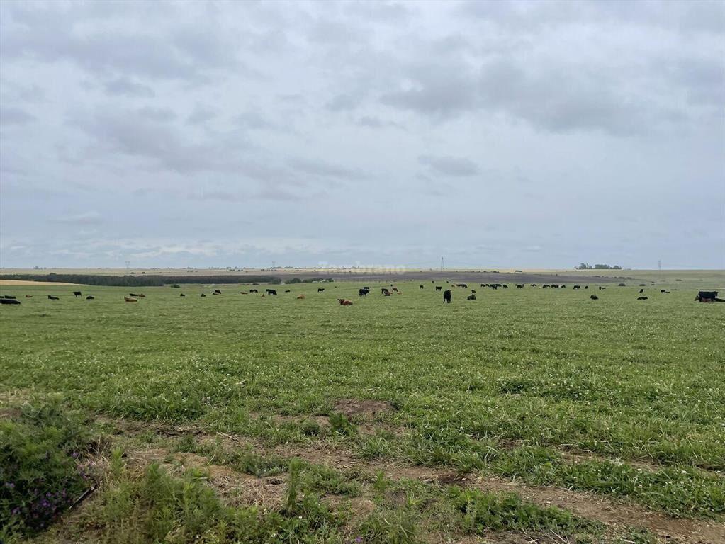 Estancia Agrícola Ganadera en Flores