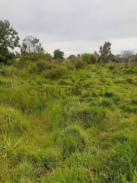 Venta?-TERRENO 1500 m2/Mas Construccion Precaria/ Proxi. ...
